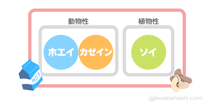 ホエイとカゼインは動物性、ソイは植物性に分かれているイラスト