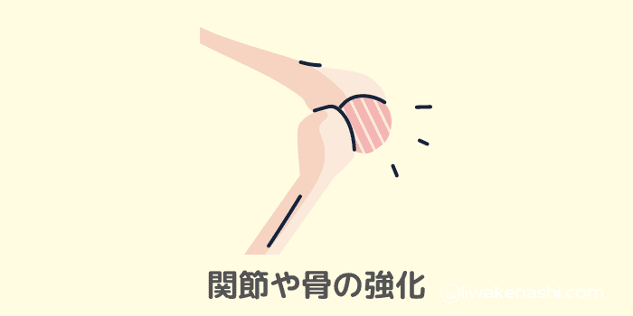 骨と関節の強化のイラスト
